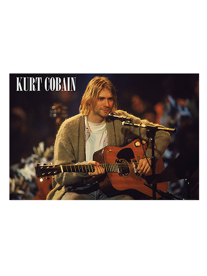 Kurt Cobain Unplugged Landscape